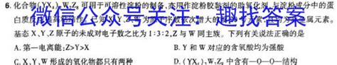 天舟高考·衡中同卷2024高三一轮复习周测卷(小题量)新高考版二十一数学答案-2024天舟益考答案网