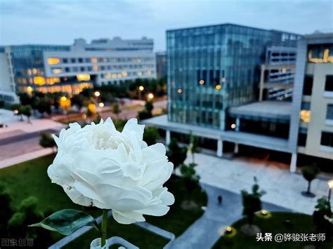 上海科技大学怎么样（上海科技大学是一所双一流重点大学）-爱果芽