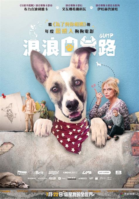 狗狗电影的海报系列，你更喜欢哪一张呢|闪电狗|猫狗大战|狗狗_新浪新闻