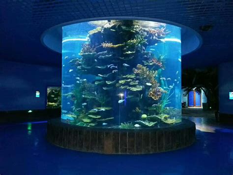 重庆海洋馆合集：梦幻海洋馆，各种海洋生物与表演，十分治愈_国内旅游_什么值得买