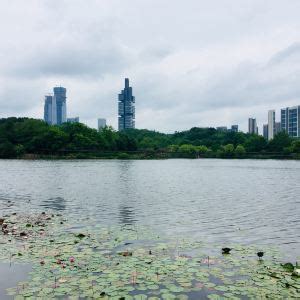 根植生态理念 彰显绿色魅力——贵阳观山湖区生态文明建设回顾_澎湃号·政务_澎湃新闻-The Paper