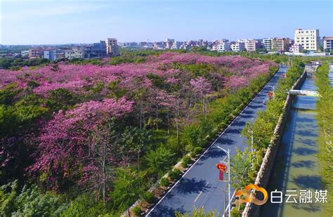 广州有个地方叫"钟落潭",它的名字是怎么来的-百度经验