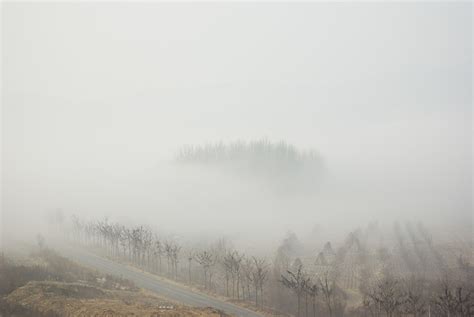 在森林里过夜后的晨雾高清图片下载-正版图片504431196-摄图网