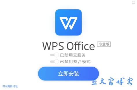 WPS Office 2019 专业版（11.8.2.11813）-蓝大富博客