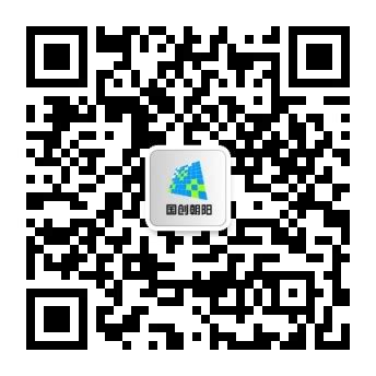 北京朝阳区城市网格化管理信息平台项目-信息系统解决方案Word模板下载_编号lwjkjgjz_熊猫办公