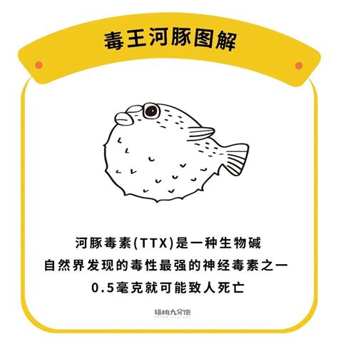 潮汕人吃的“乖鱼”究竟是不是河豚？为什么在潮汕可以随便宰杀|河豚|潮汕|随便_新浪新闻