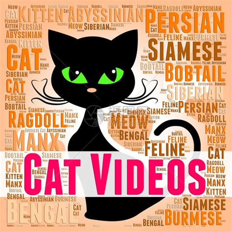 《三只小猫》感人虐心又有些诡异的动画短片_腾讯视频