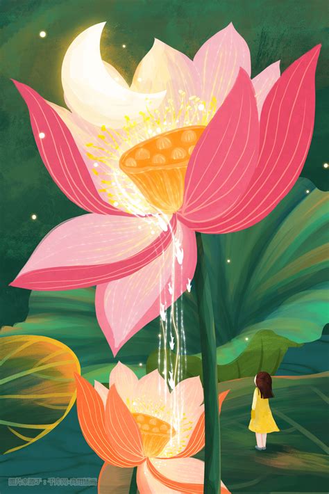 荷花手绘图片