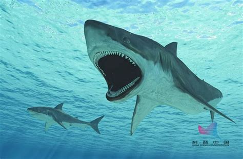 梅加洛登是一种灭绝的鲨鱼物种高清图片下载-正版图片503417229-摄图网