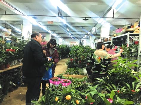 2021北京卖绿植花卉的这家市场 - 知乎