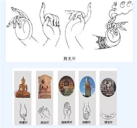期克印(Tarjani-Mudra)以中指与拇指相图片