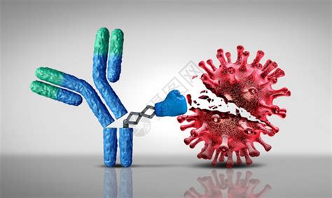 抗体对免疫系统和Immunoglobulin科学概念即3D制成的抗体攻击传染细胞和原体高清图片下载-正版图片306526289-摄图网