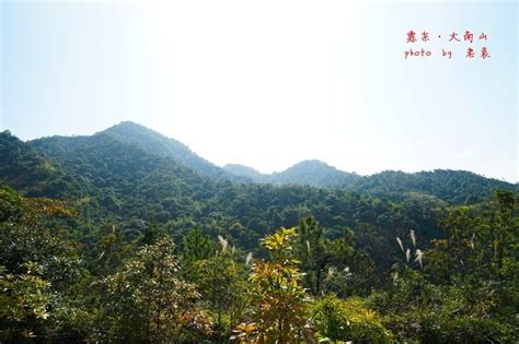 【深圳大南山摄影图片】深圳大南山风光摄影_白头翁摄影_太平洋电脑网摄影部落