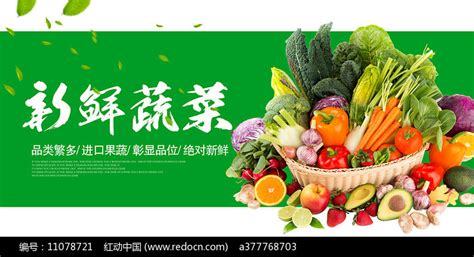 蔬菜促销海报设计图片_展板_编号11078721_红动中国
