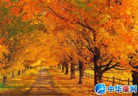 古画里的秋，满满的诗意_凤凰网国学_凤凰网