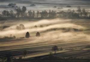 在晨雾中的林道高清摄影大图-千库网