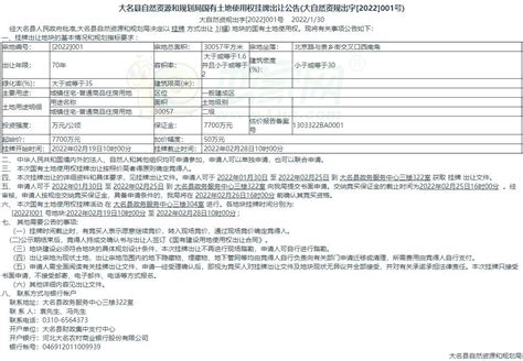 大名县国有土地使用权挂牌出让公告（大自然资规出字[2022]001号）相关资讯_邯郸大名县国有土地使用权挂牌出让公告（大自然资规出字[2022 ...