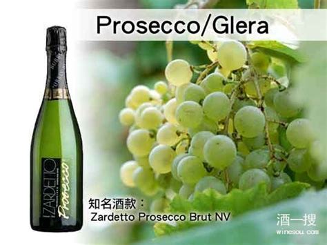 意大利的国民起泡酒品种Prosecco/Glera