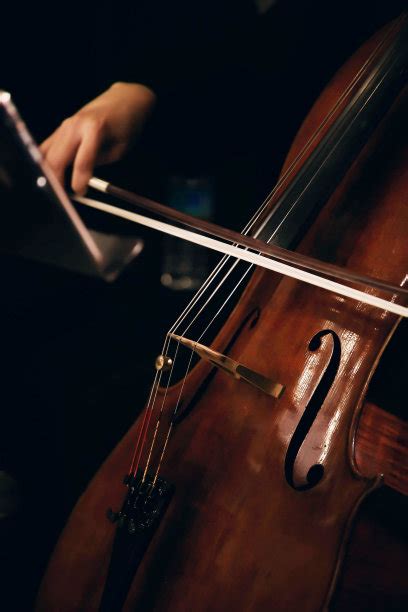 大提琴,大提琴手,垂直画幅,韩国,音乐人,音乐器具,弹奏,摄影摄影素材,汇图网www.huitu.com