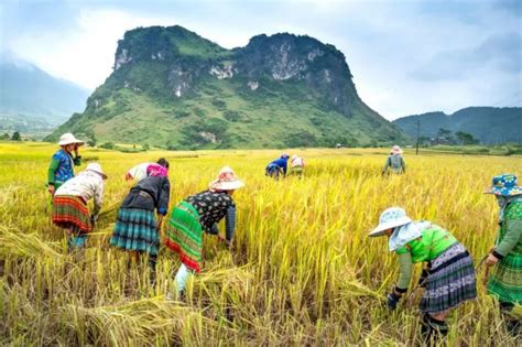 农业农村部：2018年休闲农业和乡村旅游营业收入超8000亿_健康中国促进网