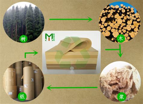 造纸原料植物纤维化学成分_东莞市美益合纸业 牛皮纸厂家