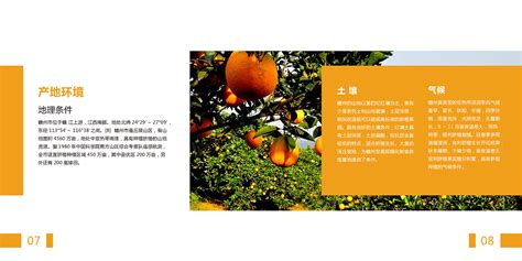 赣南脐橙画册设计|平面|书籍/画册|叶素珍Susan - 原创作品 - 站酷 (ZCOOL)