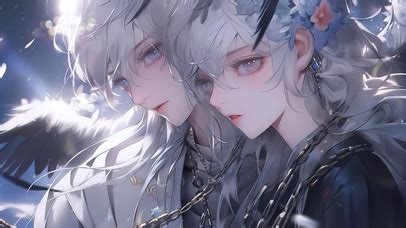 动漫双子星图片