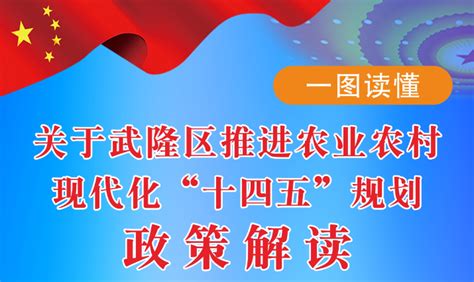项目清单_重庆市武隆区人民政府