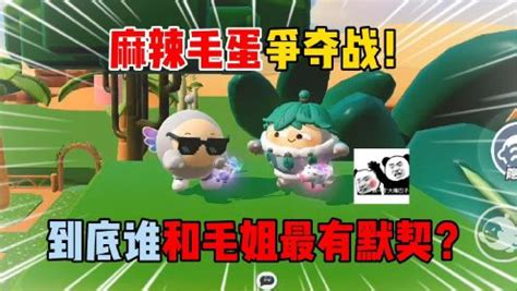 毛姐图片