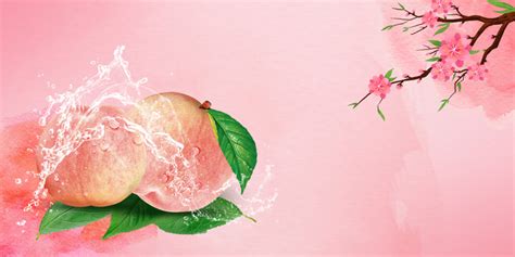 新鲜的水蜜桃png图片免费下载-素材7JzqeeePq-新图网
