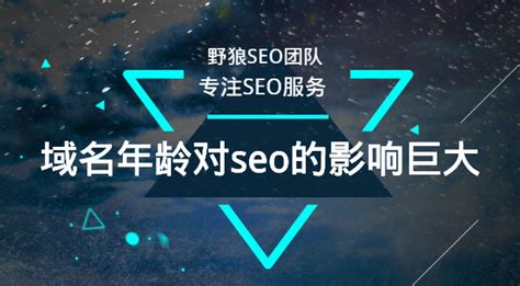 域名年龄对seo的影响？巨大，应该这样操作_野狼SEO团队