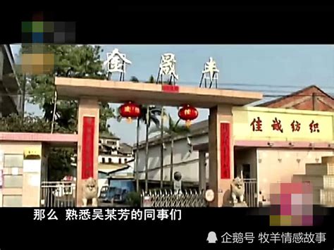 医博在路上丨肇庆鼎湖中医院空间文化项目方案汇报