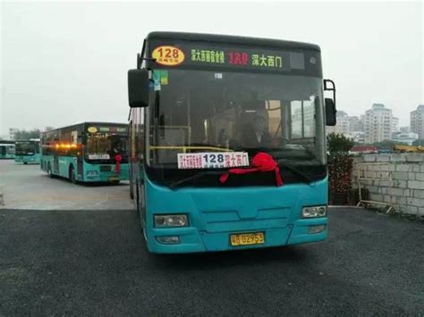 深圳公交高峰专线163号停靠站有哪些_旅泊网