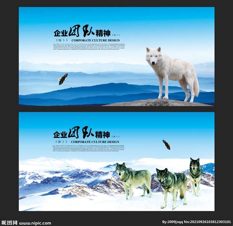 狼族狼性文化墙设计图__展板模板_广告设计_设计图库_昵图网nipic.com