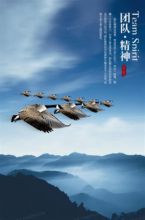 团队精神企业文化海报背景图片素材免费下载_熊猫办公