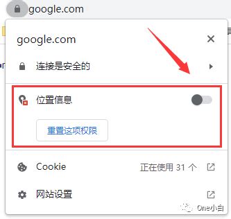 谷歌浏览器怎么获取位置权限-Google Chrome电脑版开启网站可以获取个人位置信息的方法教程 - 极光下载站
