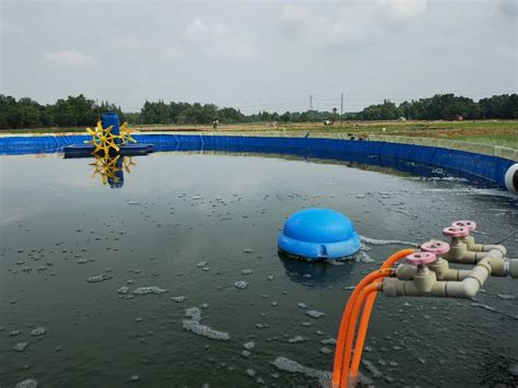 水产养殖行业常见风险 水产养殖行业痛点_中国历史网