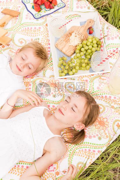 家庭夏季在乡下野餐兄弟姊妹躺在毯高清图片下载-正版图片507145190-摄图网