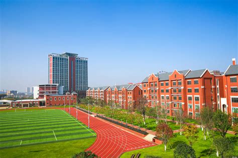 我校通过海淀区“试开学评估检查组“评估验收-北京外国语大学附属外国语学校