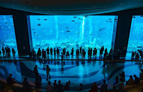 2021上海海洋水族馆游玩攻略,适合小朋友游玩，2到3个小时...【去哪儿攻略】