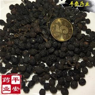 山椒子图片