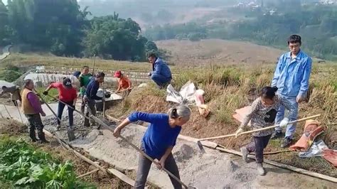 江西萍乡修建河堤时意外挖出10吨重13米长乌木 专家：树龄或逾千年 - 神秘的地球 科学|自然|地理|探索