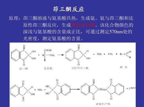 氨基酸与茚三酮反应原理