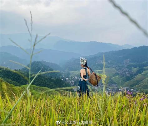 龙脊梯田，桂林秋天最美丽的风景线！__财经头条