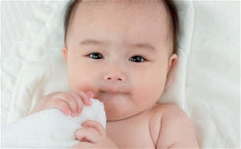 兔宝宝乳名男宝 2023年出生的男孩小名-择吉日网