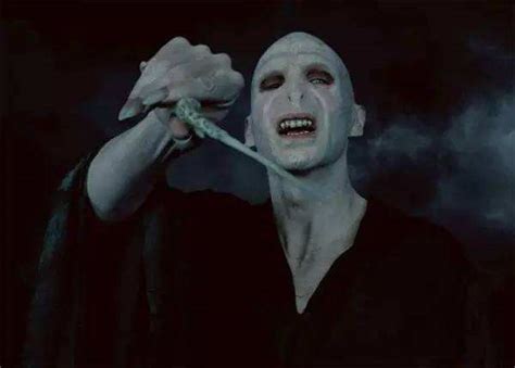 《哈利波特》电影中的强大巫师，她是唯一女性，而伏地魔并非最强__财经头条