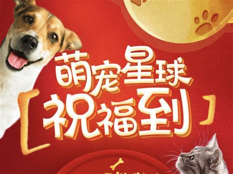 玛氏皇家助力上海市文明养宠行动 携手共建宠物友好型城市-贵州网