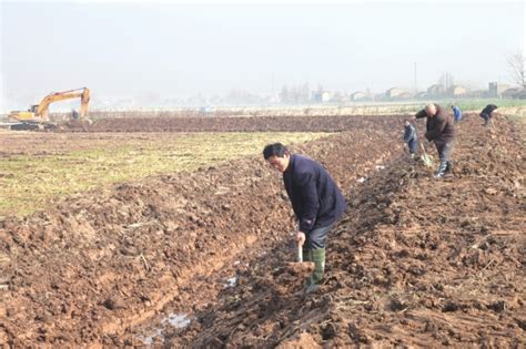 公安县发展虾稻种养 打造农业亮点和特色产业-新闻中心-荆州新闻网