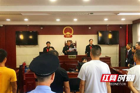 湖南炎陵宣判一起31人涉黑案 主犯获刑17年_株洲_湖南频道_红网