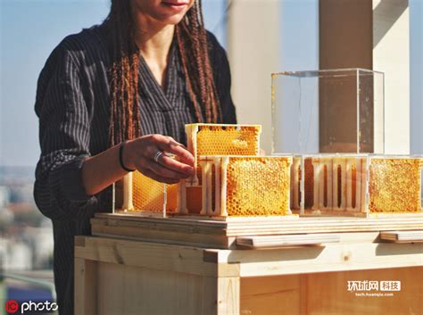 意大利公司推家庭版养蜂装置教你变城市“产蜜人”